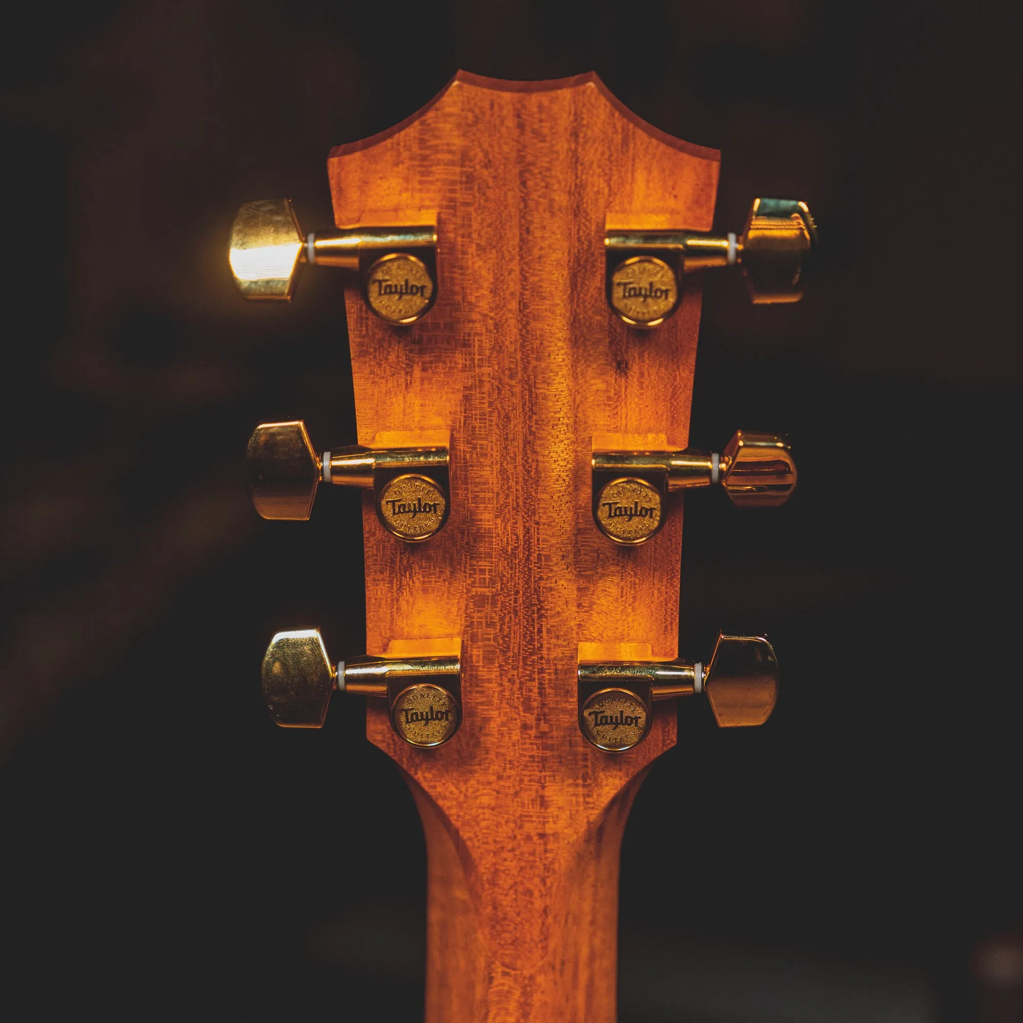 2022 Taylor 224ce-K DLX All-Koa Acoustic-Electric Guitar w/OHSC