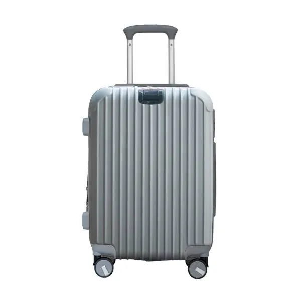 Luggage Expandable Hardside Spinner wheel Luggage U221 - Gray